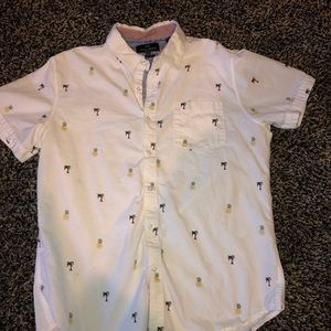 Collared Button-down shirts (Mens)